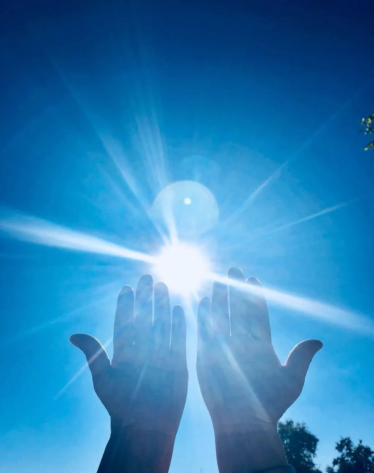 Hände gegen Sonne von Handbioenergie